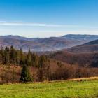 Beskid Śląsko - Morawski, łąki pod szczytem Małej Czantorii
fot. Alex Marakhovets...