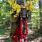 Jedna z wielu kapliczek maryjnych na szlaku-Zarabie w Myślenicach Fot. Tomasz Cylka