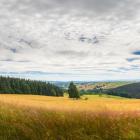 Góry Orlickie, choć niewysokie, mają swój urok o każdej porze roku. Zdjęcie Adobe Stock