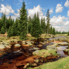 Królowa Gór Izerskich czyli rzeka Izera. Zdjęcie Rafał Kotylak