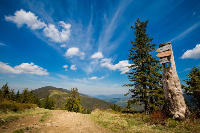 Grupa Lipowskiego Wierchu i Romanki. Fot. Adobe Stock, sitriel