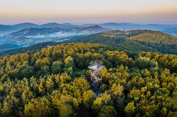 Wieża widokowa na Kamionnej, fot. Adobe Stock, Maciej G. Szling