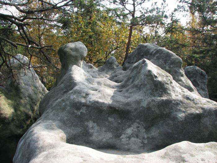 Formacje skalne w okolicy Błędnych Skał