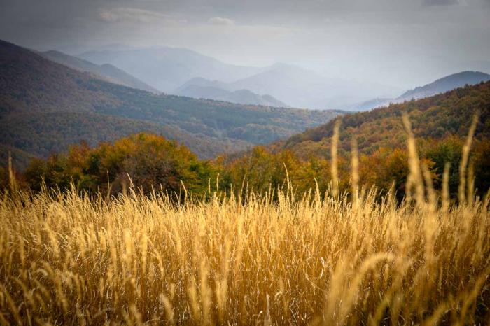 Przełęcz Goprowska, widok na ukraińskie Bieszczady Wschodnie