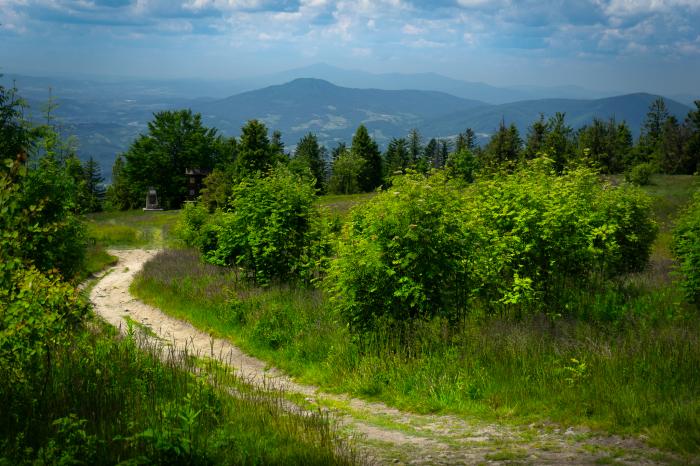 Widok ze szczytu Ćwilina w stronę Babiej Góry i Lubonia Wielkiego, fot. Kuba Polanowski