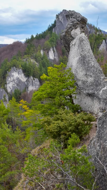 Słowackie Dolomity. Sulowskie Skały i skalne cuda Gór Strażowskich