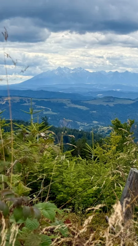 Przehyba - stąd najlepiej widać Tatry. Łatwy szlak w Beskidzie Sądeckim