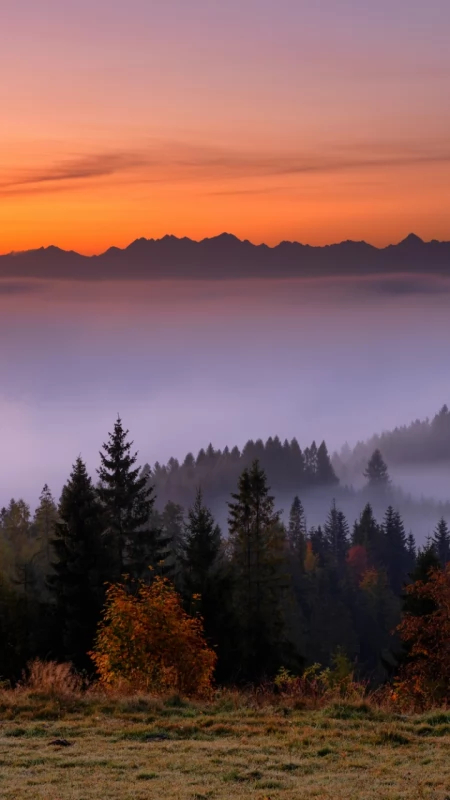 Ta niebieska godzina. Jesień w Beskidach o świcie