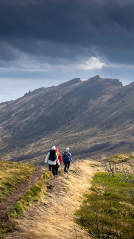 Bieszczady jesienią. Złote połoniny, wichury i górska przygoda