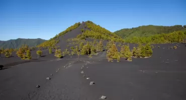 La Palma. Po wybuchu wulkanu miłośnicy gór znów mogą ruszać na szlaki 