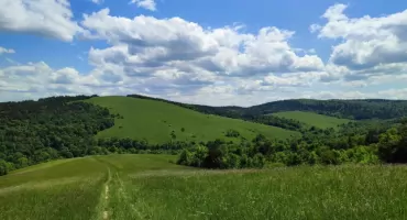 GSB. Dzień 4: z Komańczy do Tarnawki