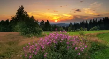 Beskid Makowski mniej znany. Zapraszamy na Babicę i Koskową Górę. Naprawdę warto 