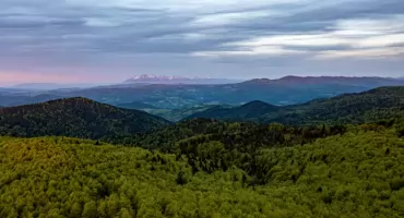 Pętla nad Wierchomlą. Odkrywamy niezwykły Beskid Sądecki