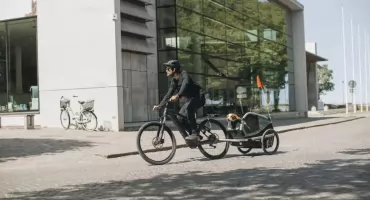 Przyczepka dla psa Thule Bexey