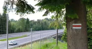 GSB. Dzień 12: z Turbacza do Jordanowa