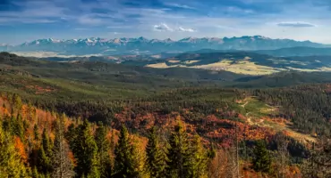 GSB. Dzień 14: z Markowych Szczawin na Rysiankę