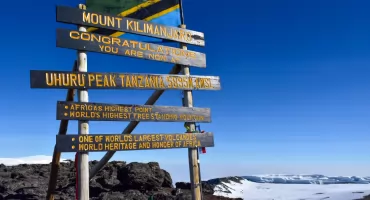 Pole, Pole… czyli na Dach Afryki - Wejście na Kilimandżaro