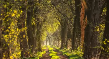 Polska na rowerze: Dolina Baryczy – rowerem przez krainę stawów i ciszy