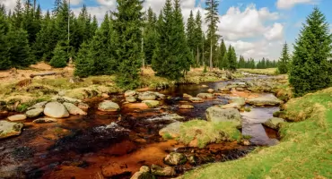 Wędrówka po Górach Izerskich – Wysoka Kopa, Hala Izerska i Chatka Górzystów