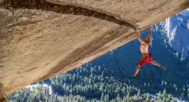 Pieprz i Bazylia: wspinaczka zdalna? 