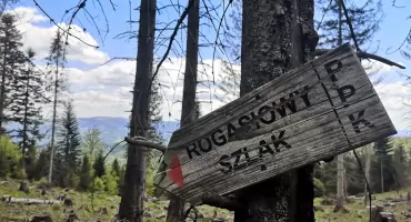 Rogasiowy Szlak w Beskidzie Sądeckim – śladami Rogasia z Doliny Roztoki