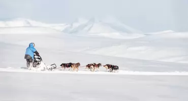 Fjällräven Polar 2026 – zgłoś się do arktycznej wyprawy psim zaprzęgiem!