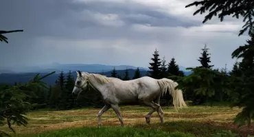 Przejście Polski dookoła: przygoda, kryzysy i zachwyty przez 84 dni w drodze