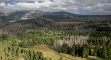 Harz - w krainie rysi, torfowisk i odradzających się lasów