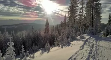 Śladami olimpijczyków. Z Obidowej na Turbacz na biegówkach
