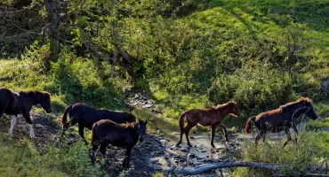 Beskid Niski rowerem. Pętla wokół Czarnego