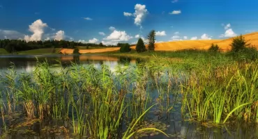 Tajemnicze Góry Sudawskie. Tam, gdzie kończą się drogi