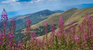 Stara Płanina. Jedynym dźwiękiem jest szum wiatru