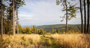 Beskid Śląski: idziemy w stronę Błatniej