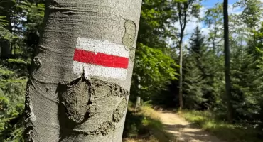 Nie znakujemy dla pieniędzy. Jak wygląda praca znakarza górskich szlaków?
