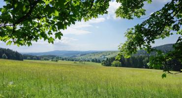 Atrakcyjne wieże Dolnego Śląska. Na Jagodnej i Orlicy szczęśliwi schodów nie liczą