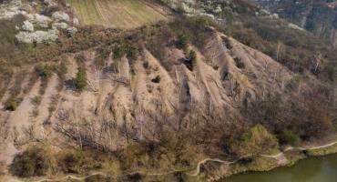 Stromo nawet koło Sandomierza