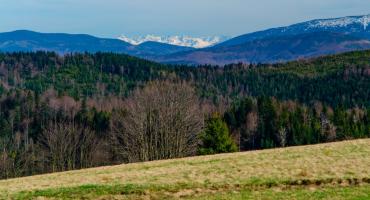 Najlepsze drożdżówki pod słońcem są w Chacie na Potrójnej
