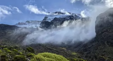 Podróż poślubna na Kilimandżaro