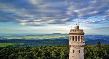 Sowa idealna dla dzieci